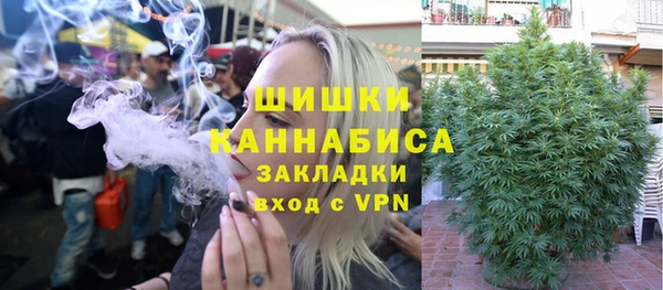 дмт Козловка