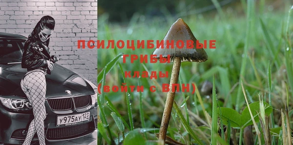 дмт Козловка
