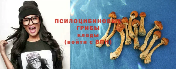 дмт Козловка