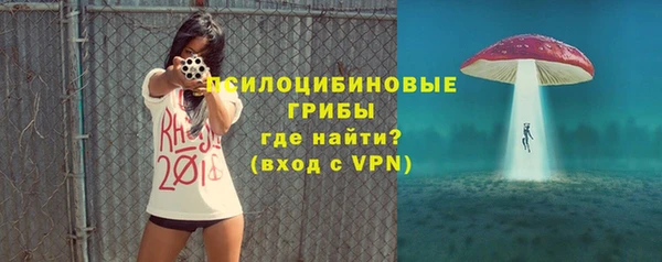 дмт Козловка