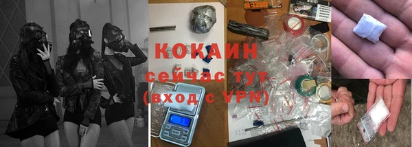 дмт Козловка