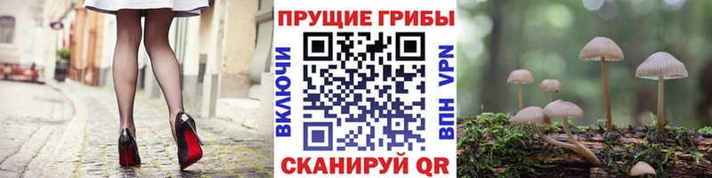 Галлюциногенные грибы мицелий  Купить закладки  Стрежевой 