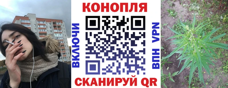 Купить  Стрежевой  Бошки марихуана SATIVA & INDICA 